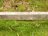 image of grave number 808337